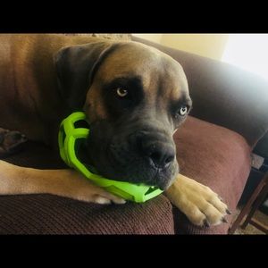 Meet your Posher, Kyle